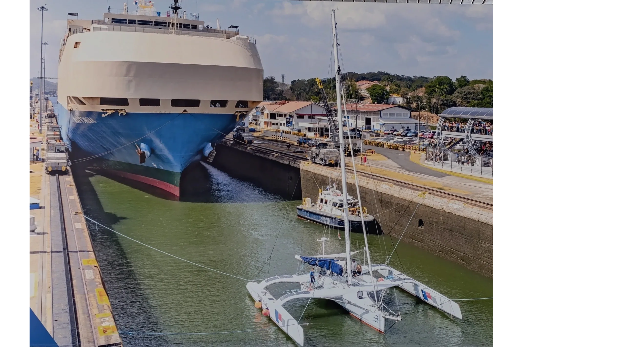 Wildlife at Panama Canal