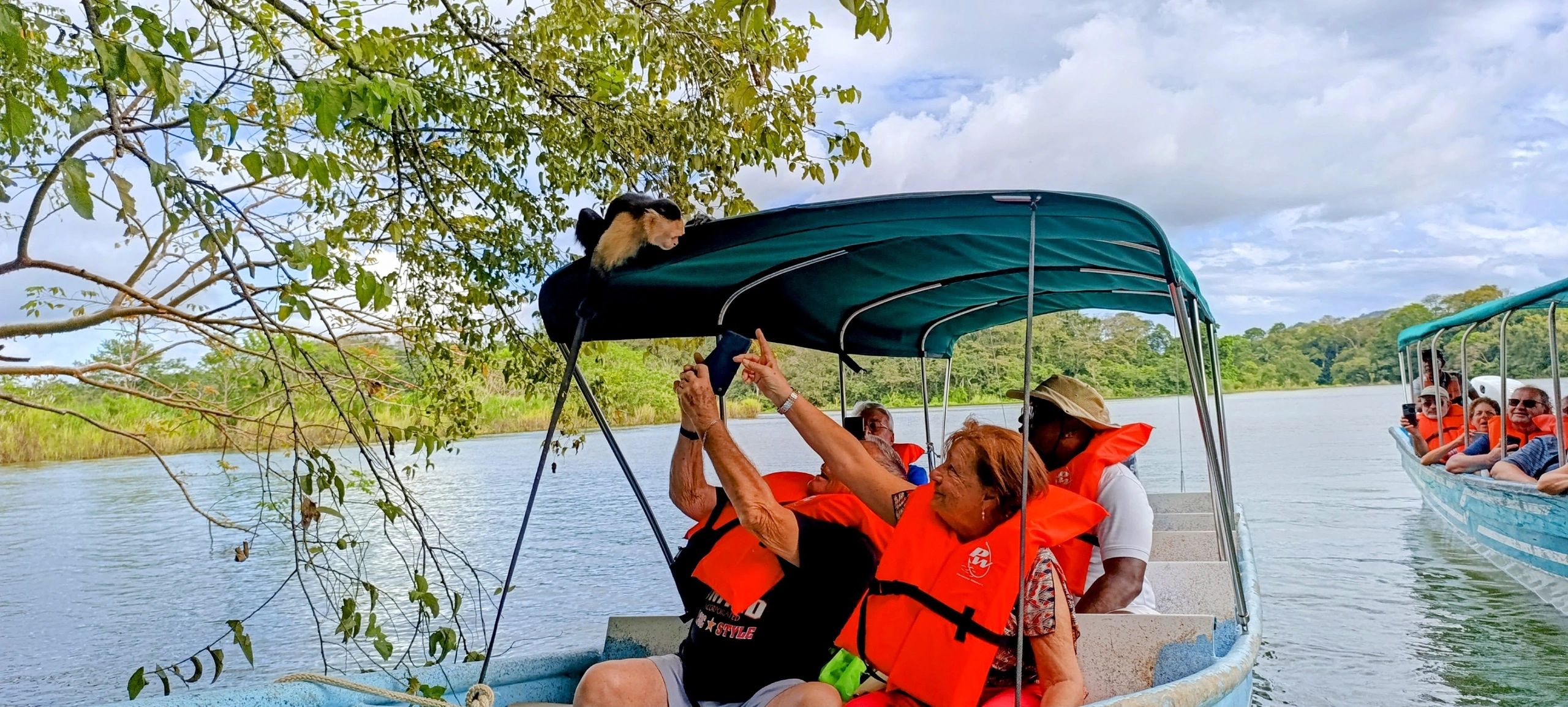 Tropical wildlife Panama